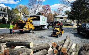 Best Emergency Tree Removal  in Rosewood Heights, IL